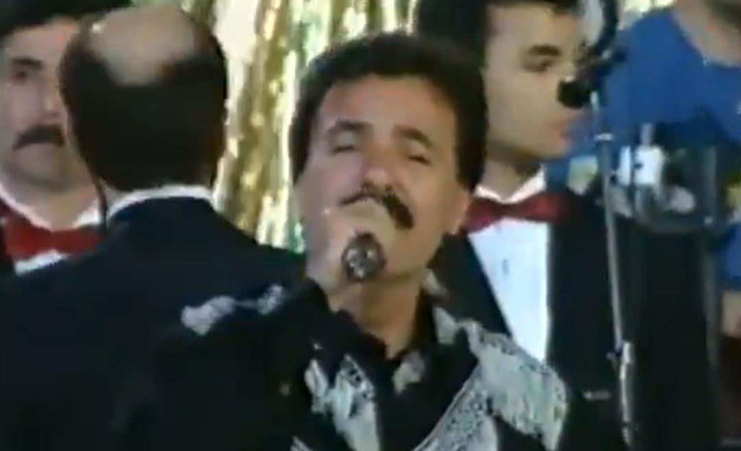 Ferdi Tayfur ve müzik hayatı