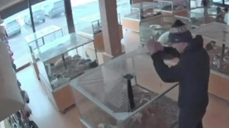 Pet shopta yavru köpekleri çalmak için sahte nöbet geçirdi