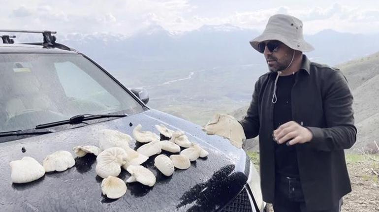 Herkes peşinde, kendiliğinden yetişiyor Kilosu bin 250 TL