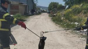Kütahyada Nagihan Uyğurun korkunç ölümü 1 yıldır kayıptı: Cesedi beton atılmış kuyudan çıktı