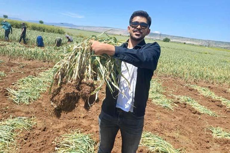 Mühendis oldu Baba mesleği için tarlasına döndü