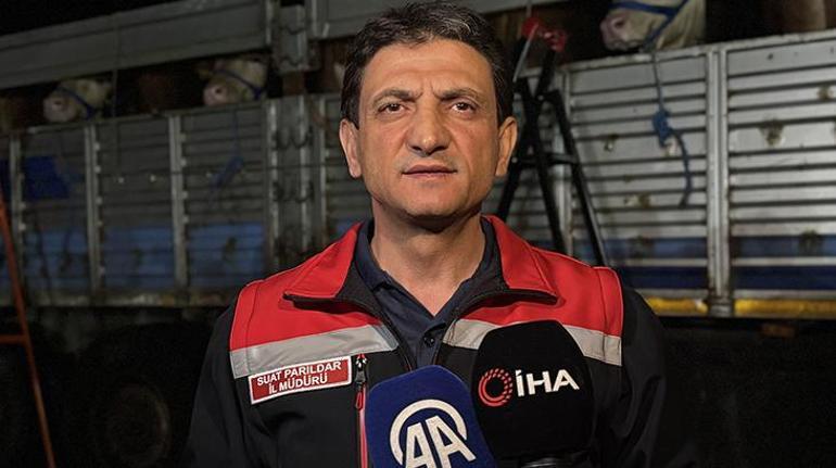 Kurban Bayramı yaklaştı İstanbula kurbanlık hayvan girişleri başladı