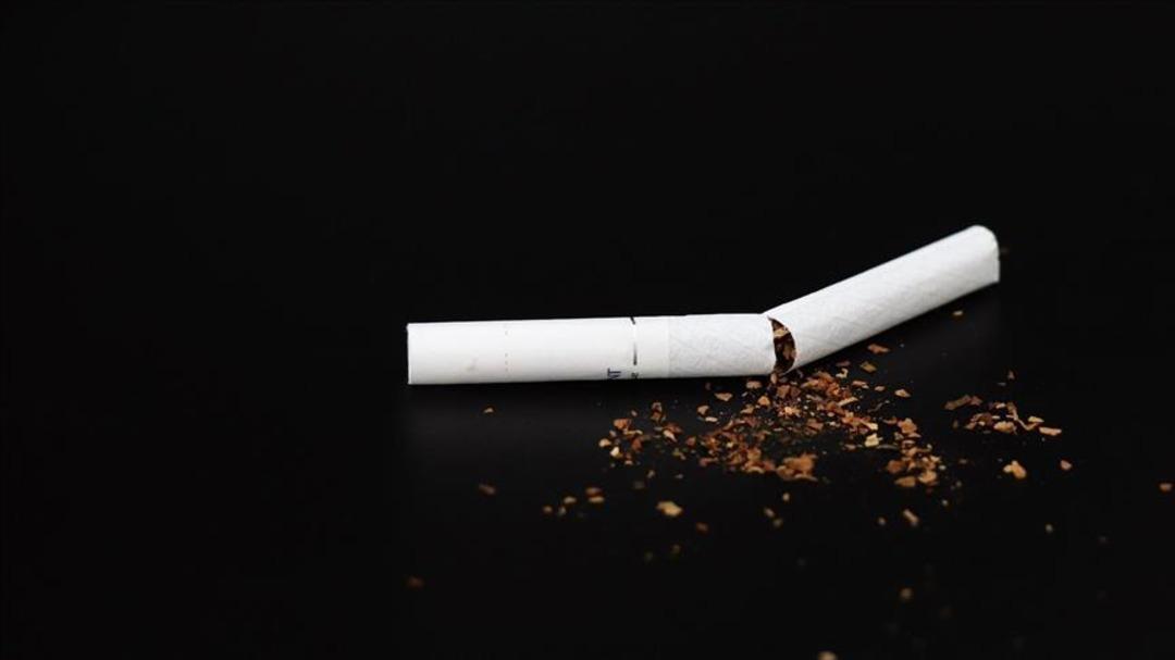 Dünya Sağlık Örgütü Resmi